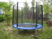   DFC Trampoline Fitness   7 ft (213 ) 7FT-TR-E sportsman -   