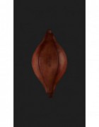     ELITE 1995 FILIPPOV   TrygSol -   