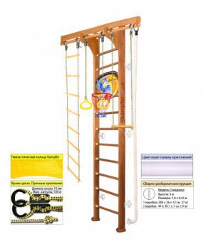 �������� ������ Kampfer Wooden Ladder Wall Basketball Shield s-dostavka - ������� ��� �����